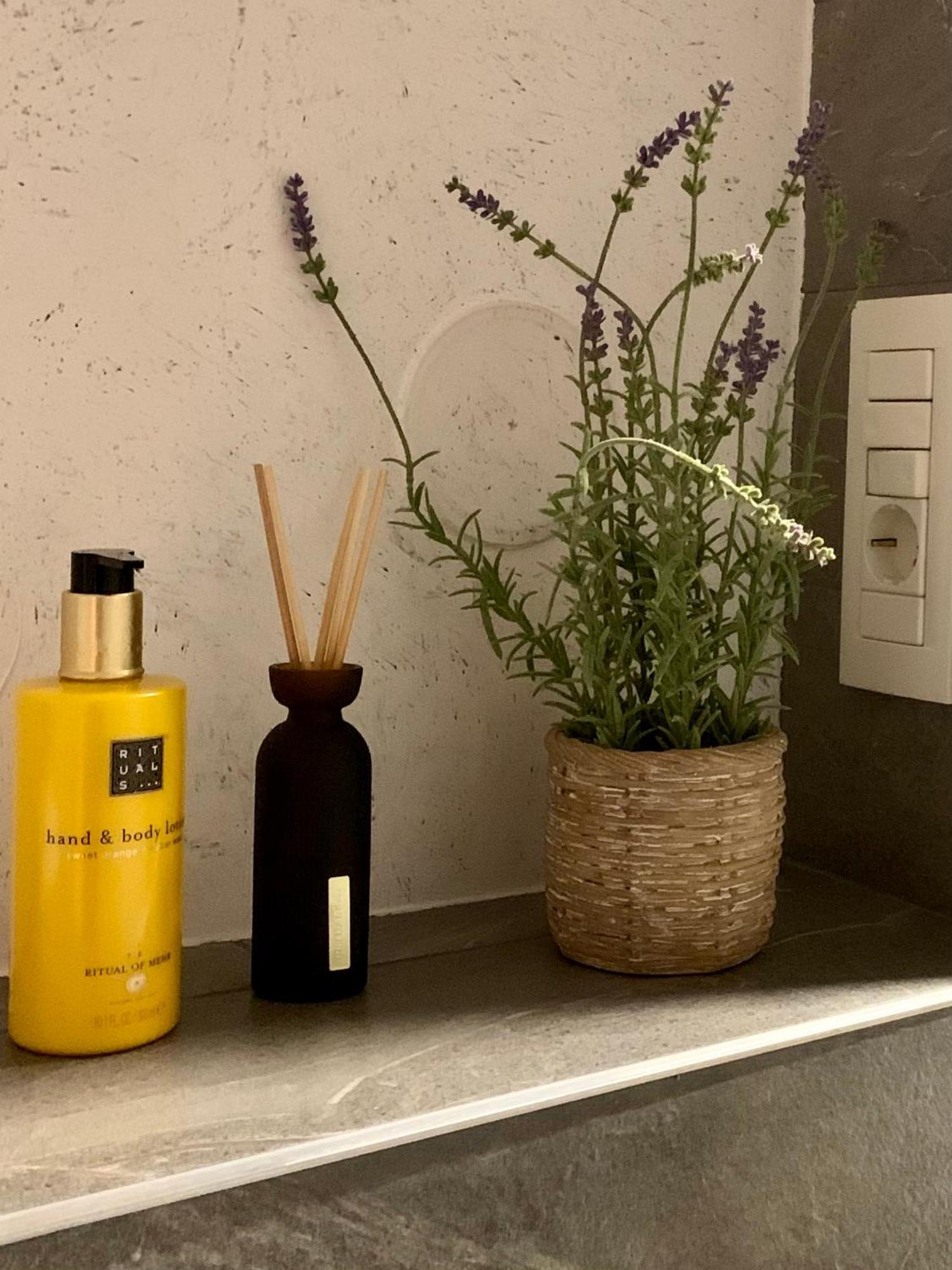 Blue Mountain Residence ブラショフ エクステリア 写真